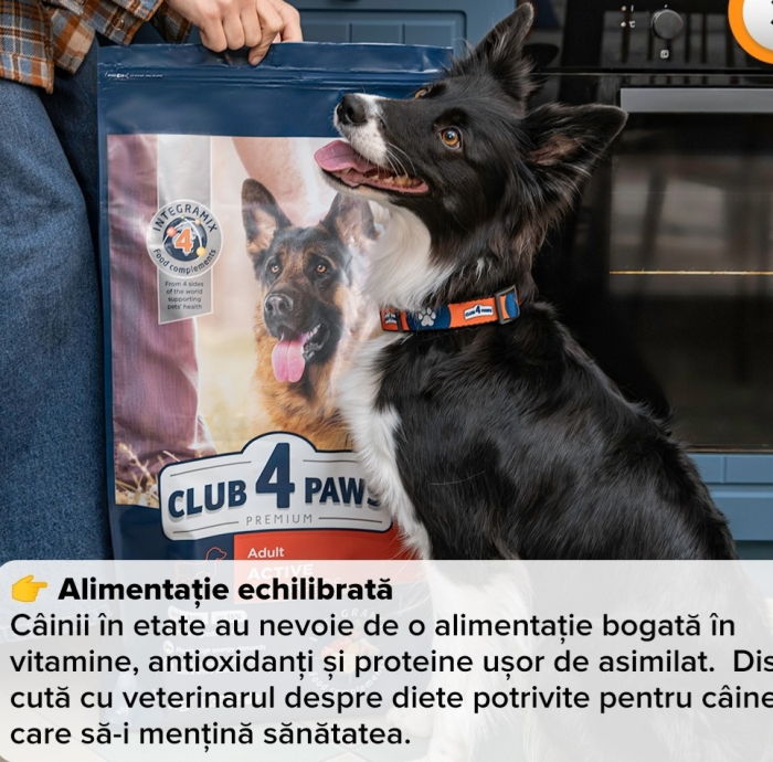 Hrana uscata pentru caini activi, Premium, Club 4 Paws, 14 kg [8]