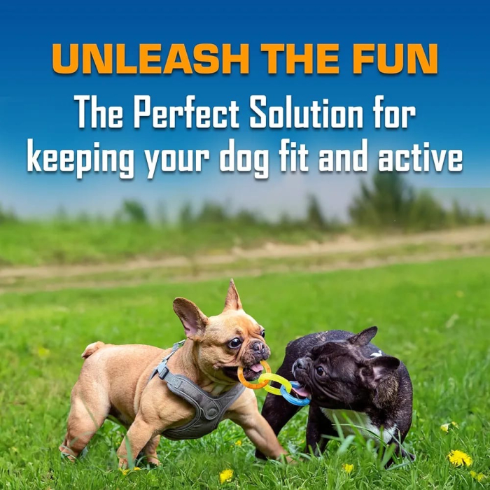 Nerf Dog Tug Inelele pentru câini [5]