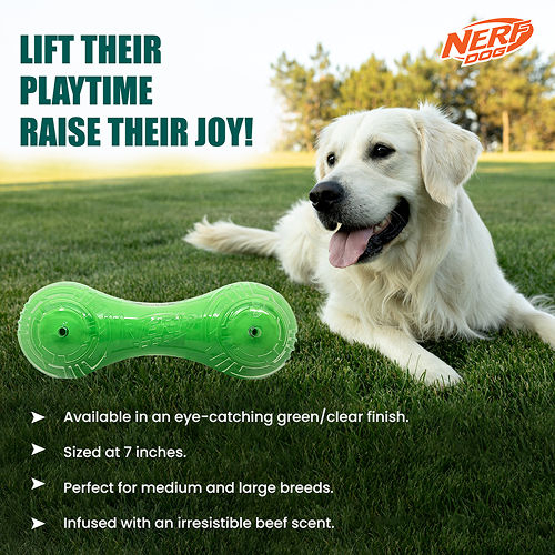 Nerf Dog Super Scend Beef [4]