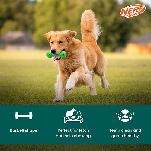 Nerf Dog Super Scend Beef [2]