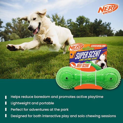 Nerf Dog Super Scend Beef [3]