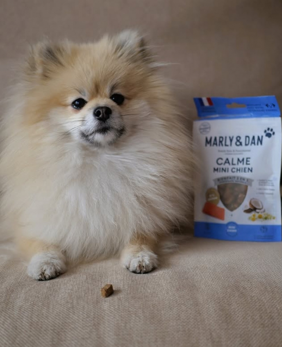 MARLY&DAN Calme Mini Dog, XS-S, Somon, punguță recompense funcționale fără cereale câini, sistem nervos & calmante, 50g [6]