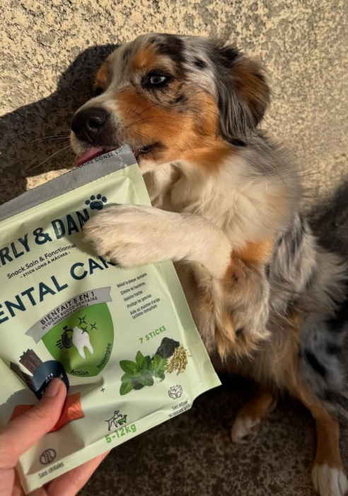 MARLY&DAN Dental Care sticks caini 5-12 kg, Small, 100g [3]