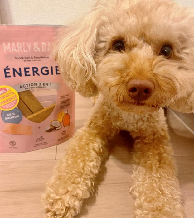 MARLY&DAN Energy, XS-XL, Somon, punguță recompense funcționale fără cereale câini, activitate intensă, 80g [4]