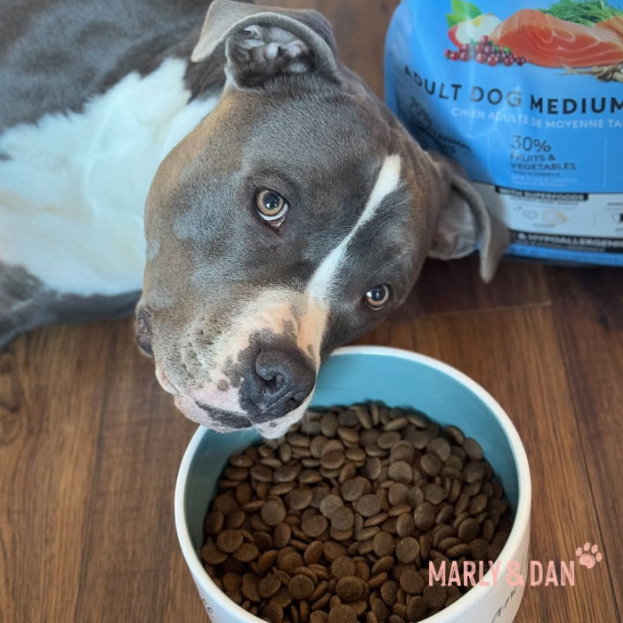 MARLY&DAN HRANA USCATA PENTRU CAINI ADULTI DE TALIE MEDIE 4kg [2]