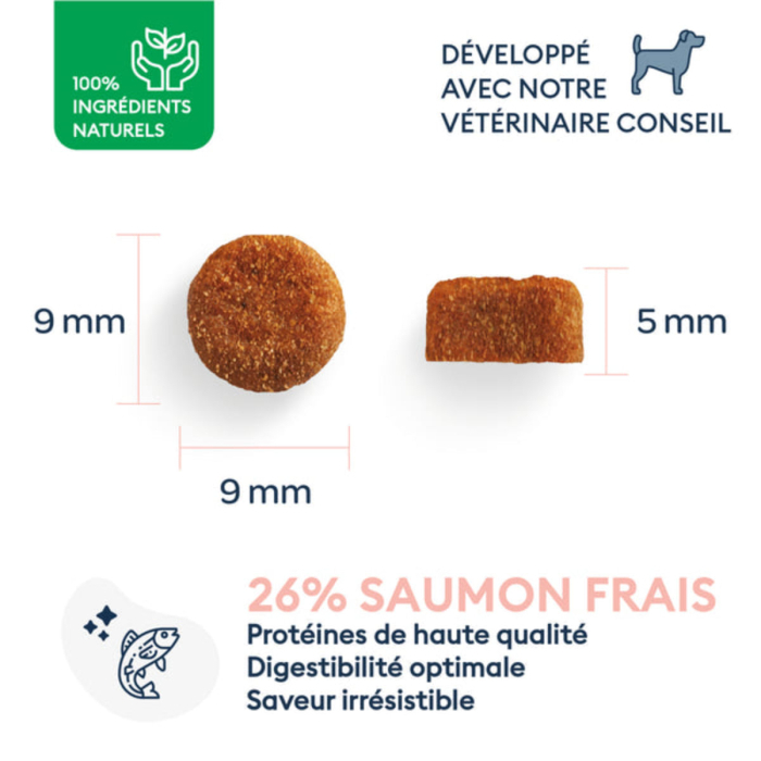 MARLY&DAN HRANA USCATA PENTRU CAINI SENIORI DE TALIE MICA 4kg [4]
