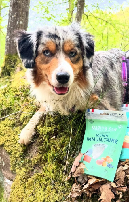 MARLY&DAN Immunity, XS-XL, Somon, punguță recompense funcționale fără cereale câini, sistem imunitar, 80g [3]