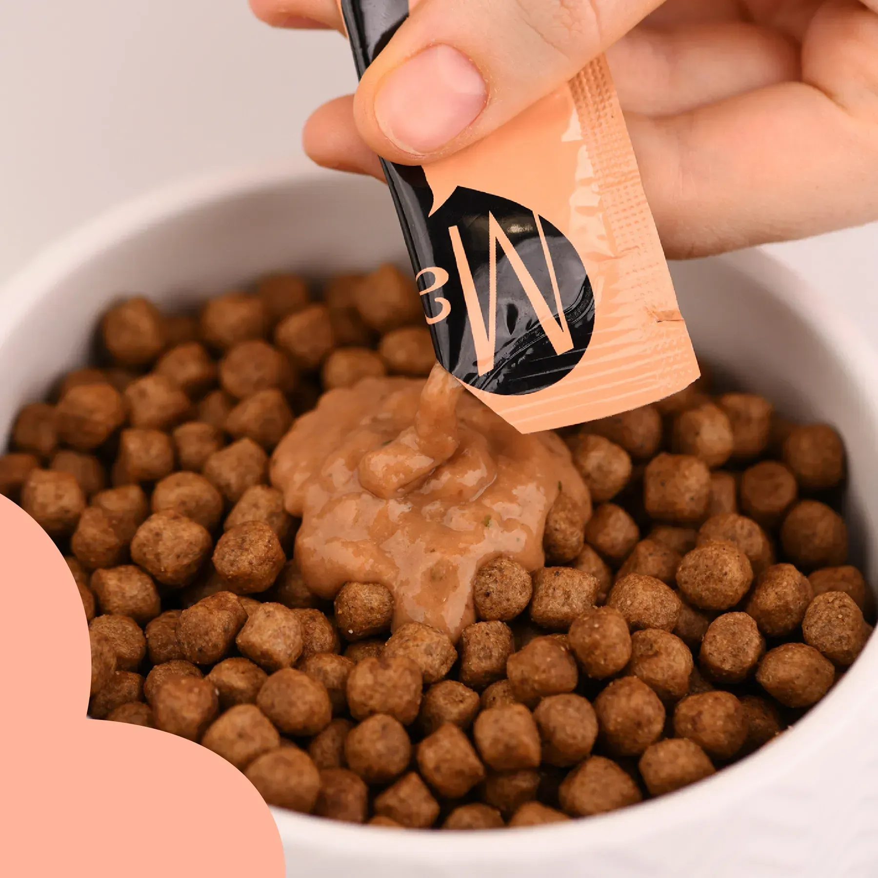 Mavsy file de somon și ton cu lucernă și un strop de iarba pisicilor [4]