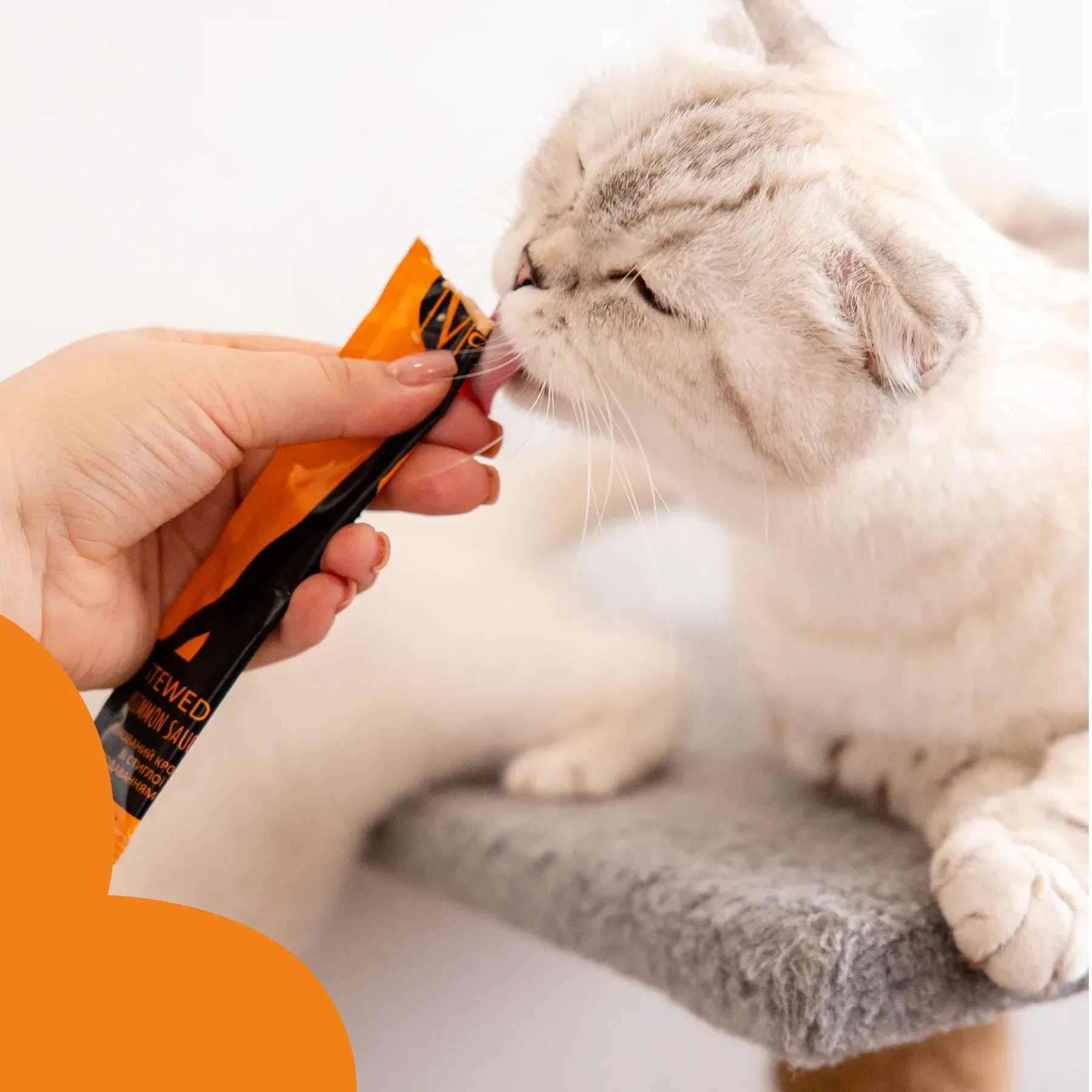 Mavsy Iepure fiert în sos de kaki copt cu semințe de chia [2]