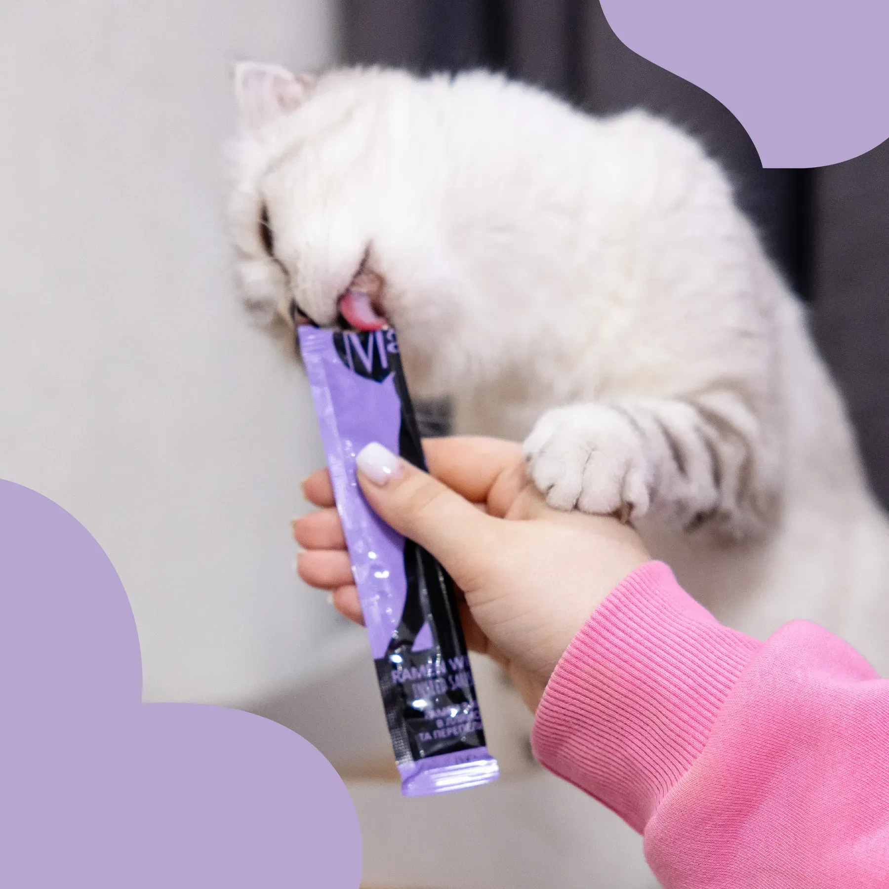 Mavsy ramen cu creveți în sos de in și ou de prepeliță [4]