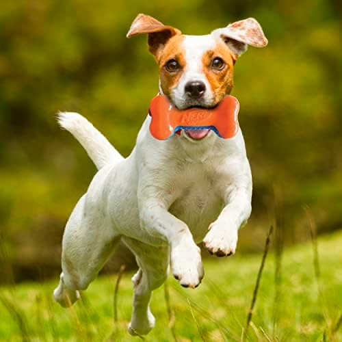 Nerf Dog Squeak „Os” [3]