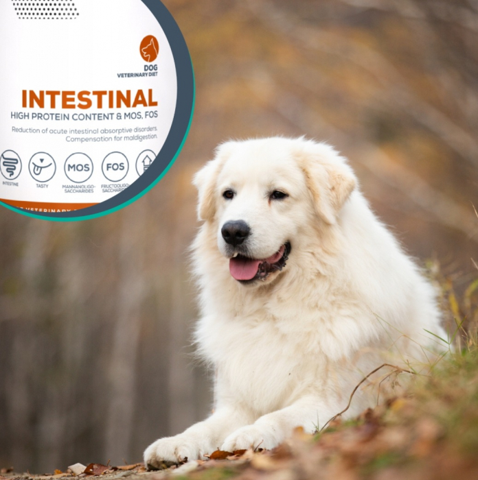 UMED INTESTINAL, 400 g [2]