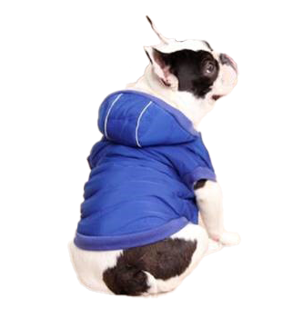 ACCESORII - 4Dog Hainuta Caini 4DOG DELUXE Pongo Albastru 45 cm