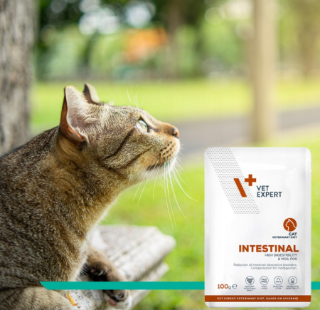 4T Dieta Veterinara Pisici Intestinal Cat, Vetexpert, 100 g [2]