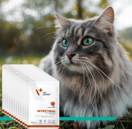 4T Dieta Veterinara Pisici Intestinal Cat, Vetexpert, 100 g [6]