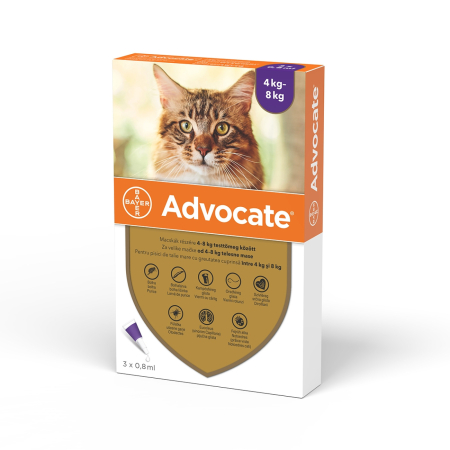 Deparazitari Pisici - Advocate pentru pisici 4 kg - 8 kg, 1 pipeta