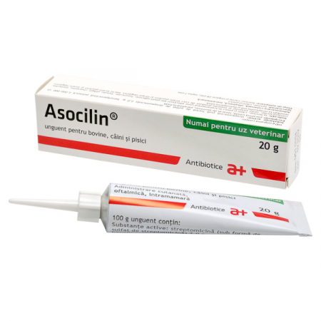 CAINI - Asocilin, unguent tip suspensie, flacon x 20 g