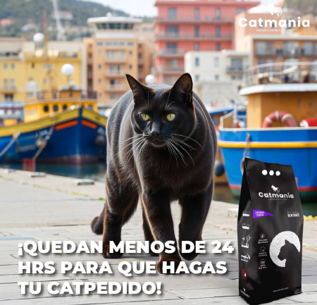 CATMANIA Bentonita Lavanda, Asternut Litiera 5 L [5]