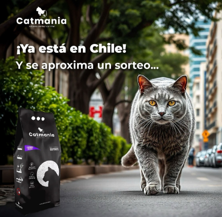 CATMANIA Bentonita Lavanda, Asternut Litiera 5 L [6]