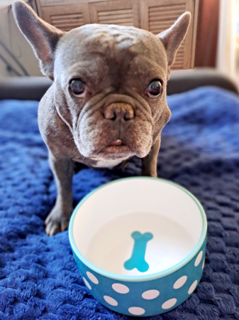 Bol ceramic pentru câini, 1400 ml [1]