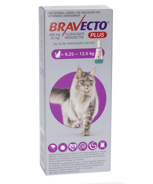 Deparazitare Pisici - Bravecto Plus Cat spot on 500 mg (6,25-12,5 kg) - o pipetă