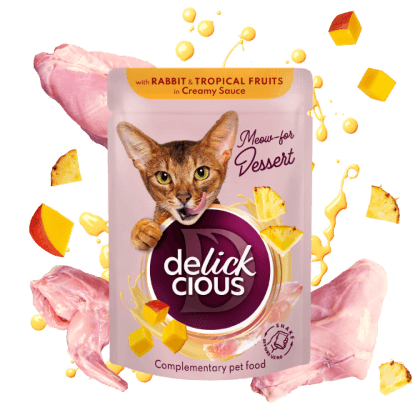 DELICKCIOUS - Delickcious. Iepure și fructe tropicale în sos cremos, 80 g.