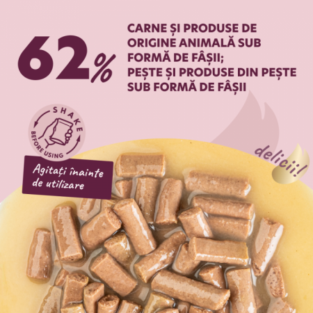 Delickcious. Somon și brânză în supă cremoasă, 85 g. [1]