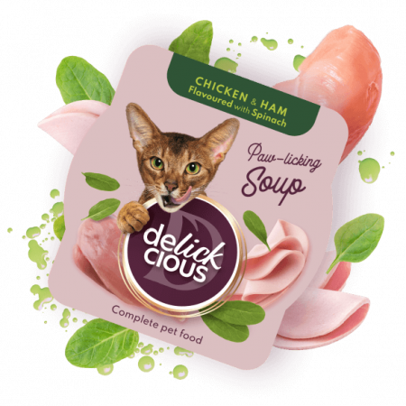 Băuturi - Delickcious. Supa de pui cu șuncă și spanac, 80 g.