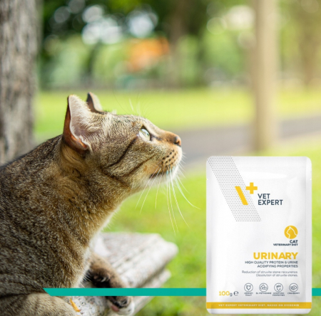 Dieta Veterinara Pisici Urinary Cat, 100 g [5]