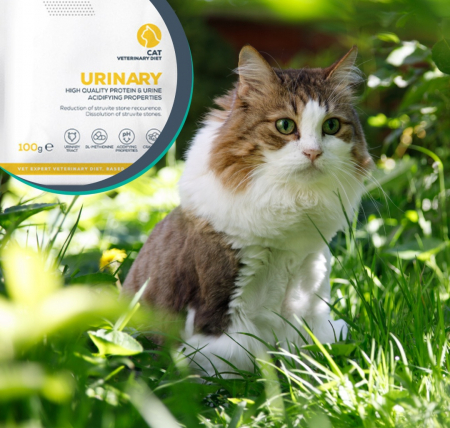 Dieta Veterinara Pisici Urinary Cat, 100 g [3]