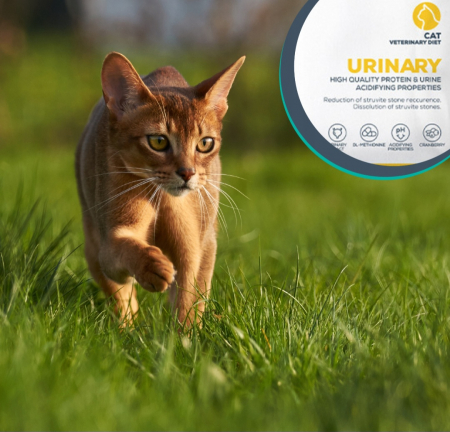 Dieta Veterinara Pisici Urinary Cat, 100 g [4]