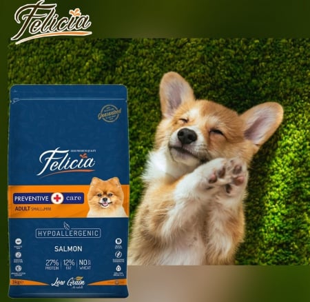 Felicia Hrana Caini Adulti Small-Mini Hipoalergenic Preventive-Care cu Somon 6kg [1]
