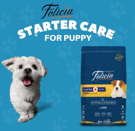 Felicia Hrana Caini Junior Small-Mini Hipoalergenic Starter-Care cu Miel 6Kg [7]