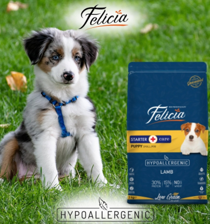 Felicia Hrana Caini Junior Small-Mini Hipoalergenic Starter-Care cu Miel 6Kg [4]