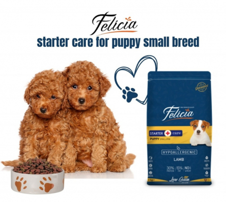 Felicia Hrana Caini Junior Small-Mini Hipoalergenic Starter-Care cu Miel 6Kg [8]