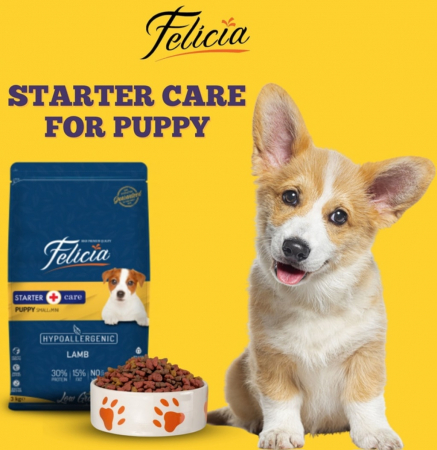 Felicia Hrana Caini Junior Small-Mini Hipoalergenic Starter-Care cu Miel 6Kg [1]