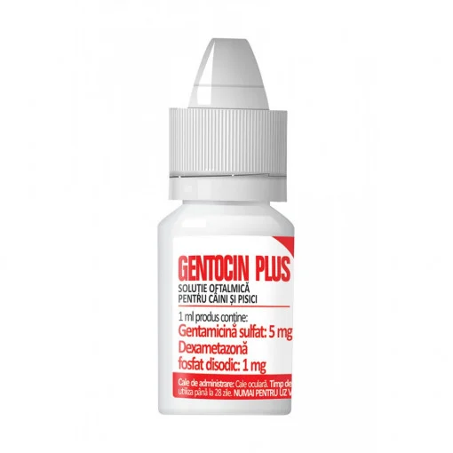 CAINI - Gentocin Oftalmic Plus, 7.5ml