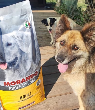 Hrana completa Morando pentru caini cu pui, 15 kg [1]