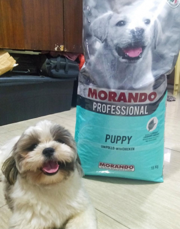 Hrană completă MORANDO pentru CĂȚELUȘI CU PUI, 15 kg [6]