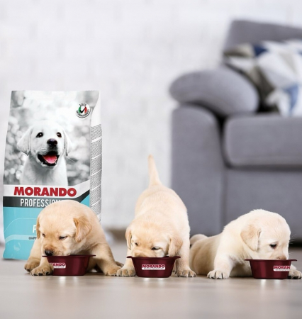Hrană completă MORANDO pentru CĂȚELUȘI CU PUI, 15 kg [1]
