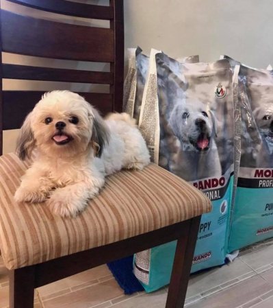 Hrană completă MORANDO pentru CĂȚELUȘI CU PUI, 15 kg [5]