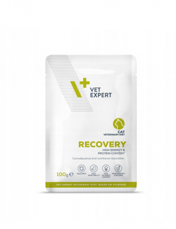 DIETE VETERINARE - Hrana umeda pentru pisici Recovery Cat, 100 g