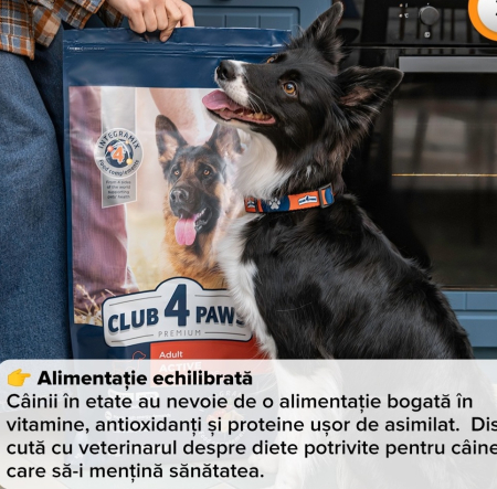 Hrana uscata pentru caini activi, Premium, Club 4 Paws, 14 kg [7]