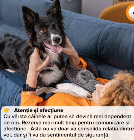Hrana uscata pentru caini activi, Premium, Club 4 Paws, 14 kg [8]