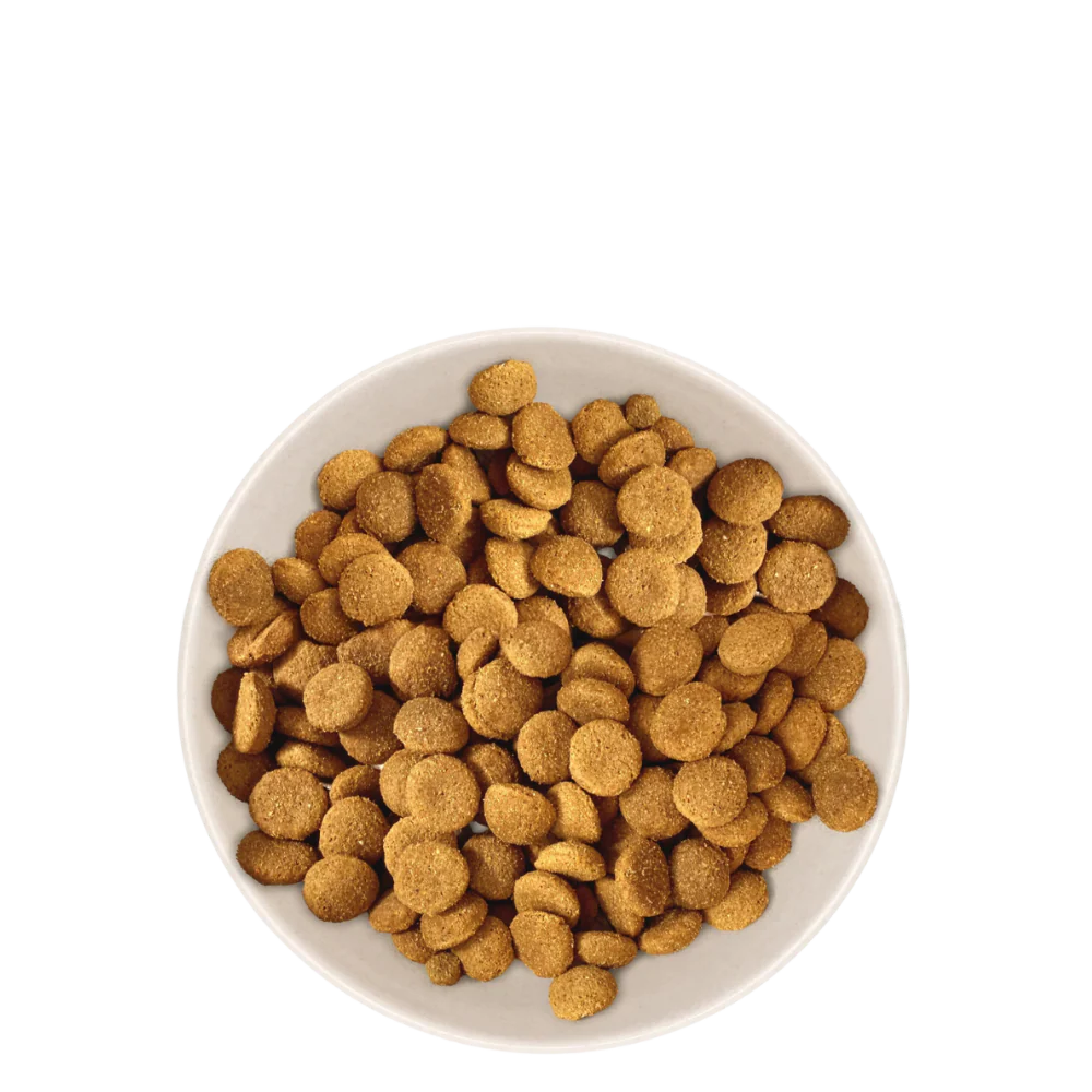 Hrană uscată pentru câini adulți (rasă mare), 12 kg [2]