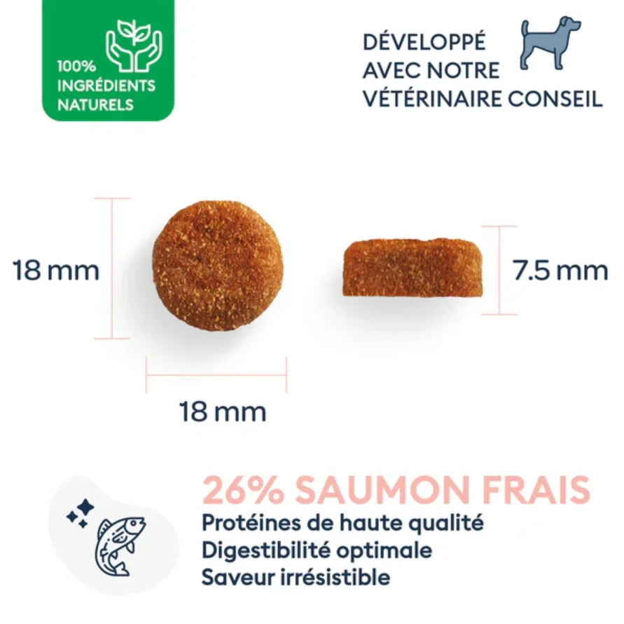 Hrană uscată pentru câini adulți (rasă mare), 12 kg [3]