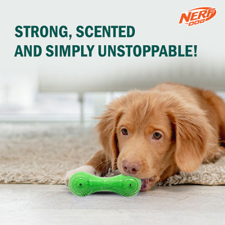 Nerf Dog Super Scend Beef [4]