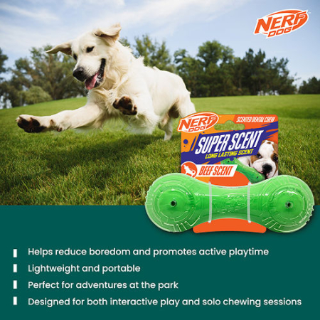 Nerf Dog Super Scend Beef [2]