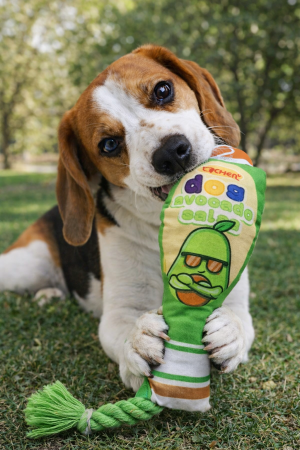 JUCARII - Jucarie pentru caini cu franghie Dog Avocado