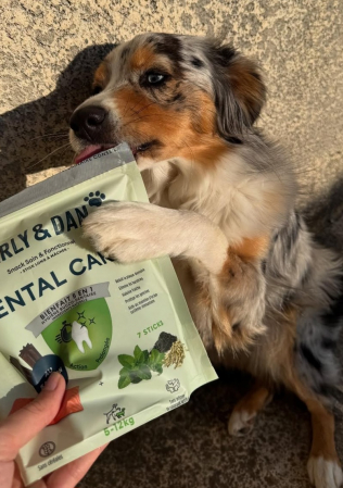 MARLY&DAN Dental Care sticks caini 5-12 kg, Small, 100g [2]